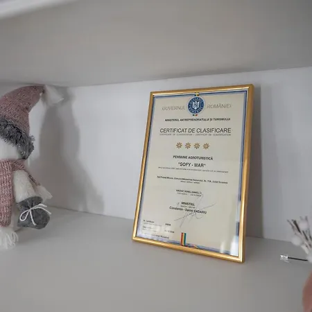Pensiunea Sofy Mar 4*
