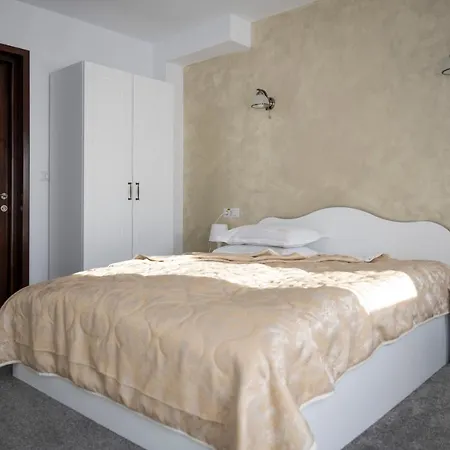 Guest house Pensiunea Sofy Mar Poiana Micului